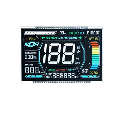 Modiwl LCD Segment VA Customizable